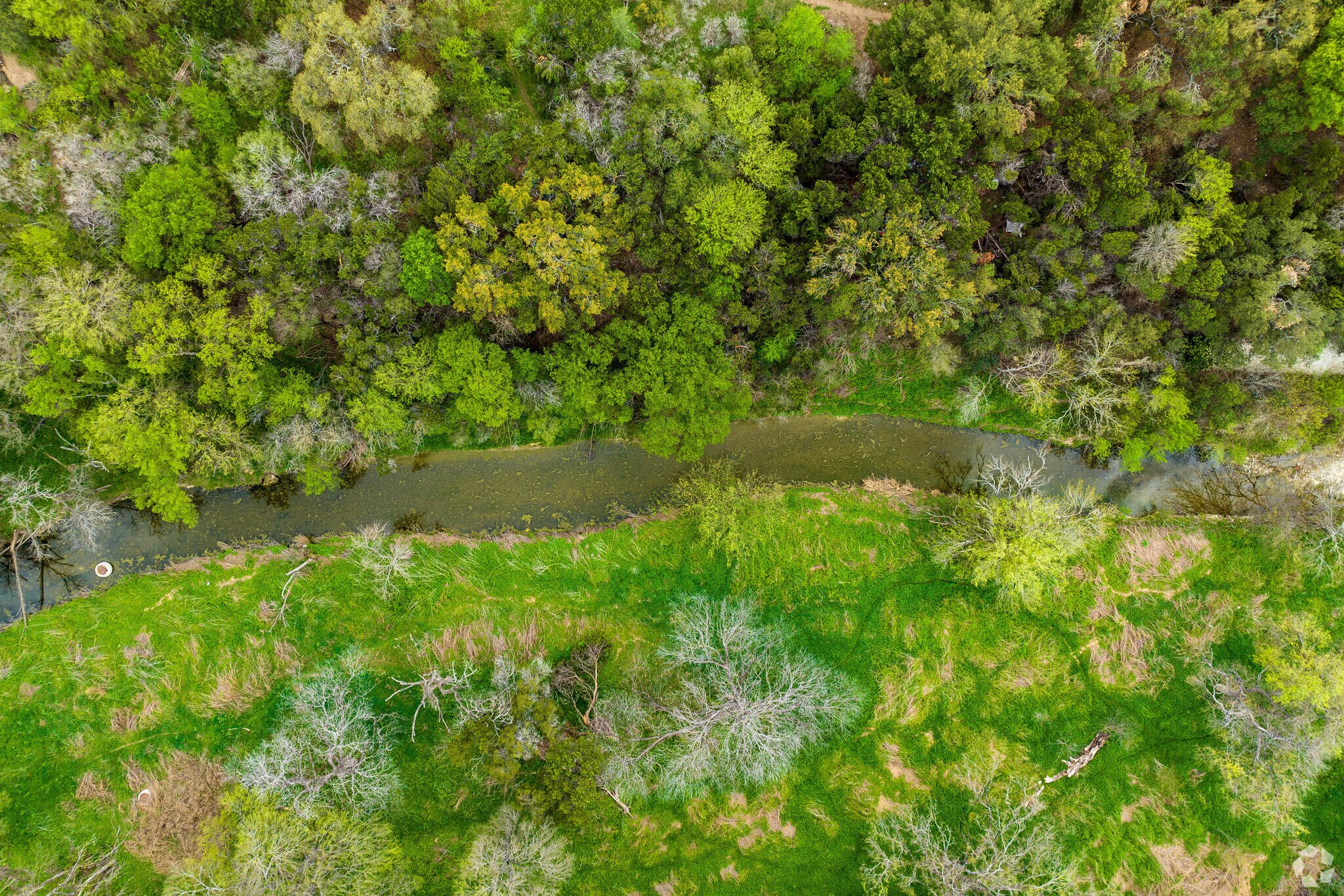 Williamson Creek Greenbelt is a greenbelt series in East Congress which runs along the creek.
