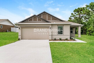 11279 Redgate St, Spring Hill, FL 34609
