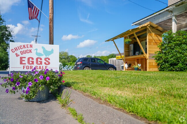 Pull over on Route 7 and buy fresh eggs from one of many local farm stands.