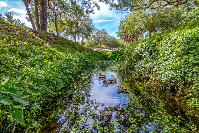 Enjoy some wild life as you stroll through the Azalea neighborhood.