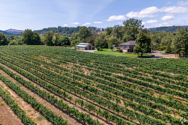 There are a lot of vineyards in the Melrose Orchards area.