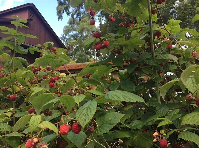 1426 Orca St unit 3, Anchorage, AK 99501 - photo 7