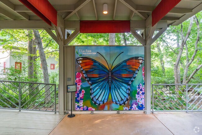 Elachee Nature Academy is a private school located in Gainesville.