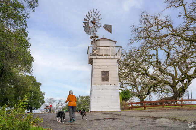 Lar Rieu Park has beautiful walking paths, perfect for relaxing strolls.