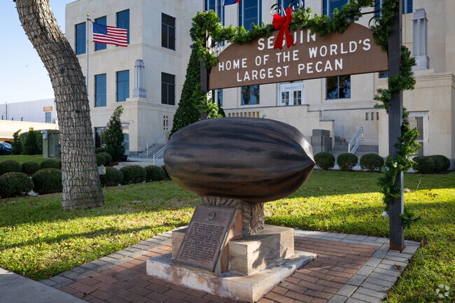 Seguin is famous for it's beautiful pecan trees, some of which made the history books.