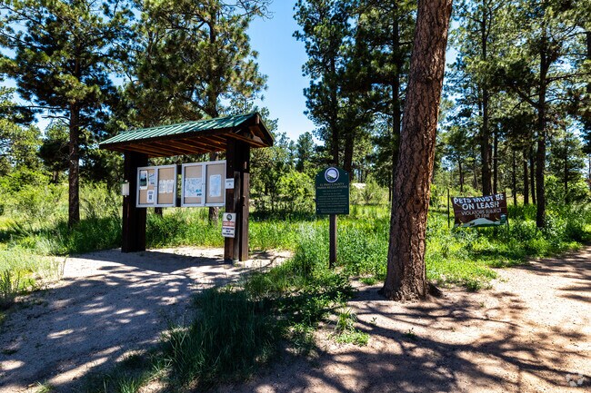 There are miles of trails to explore at Black Forest Recreation Area.
