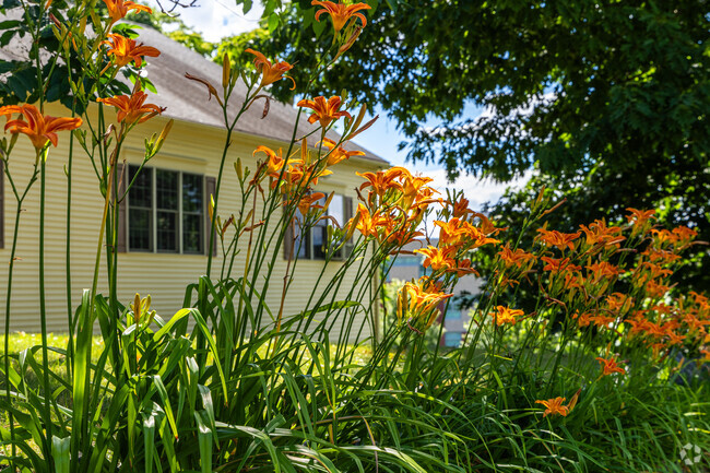 The Lotus Academy in Winchester, MA.