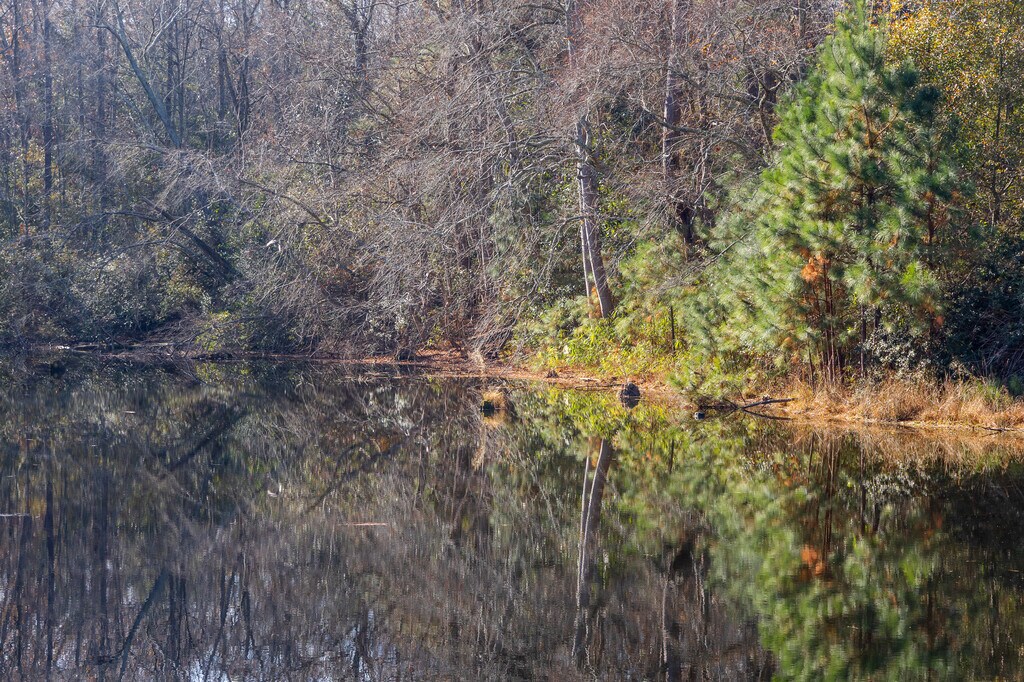 South Congaree, SC City Guide About Living in South Congaree