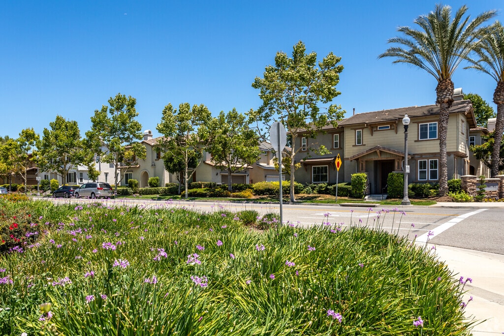 About College Park Schools, Demographics, Things to Do