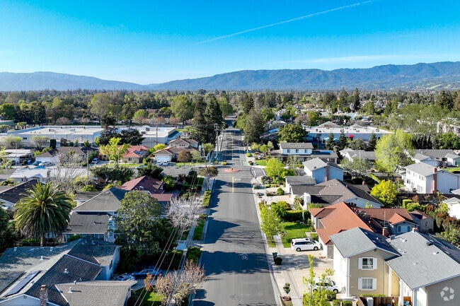 Downtown Cupertino's winding roads hold neighborhood streets that are densely lined with homes.