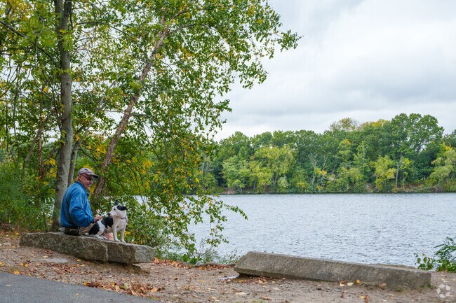 Be sure to give your dog a good scratch as you take a break during your walk in South West.