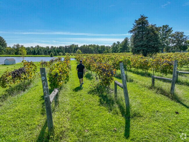 Keswick Vinyards is a popular spot near Cismont to go for a drink.