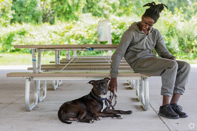 There are many ways to get outside in South Randolph, including Randolph Dog Park.