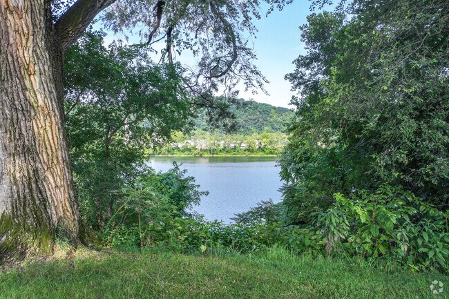 Gorgeous views of the Allegheny River in Arnold.