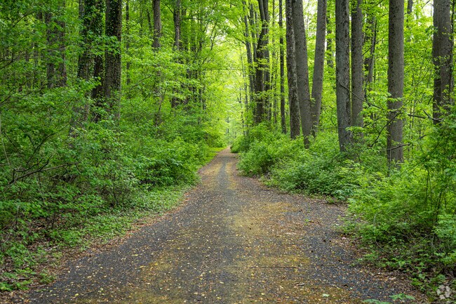 Forest Greens Lake Preserve is a small hiking trail established around a lake preserve created from a split in the Chesapeake.