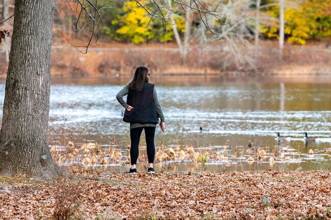 In Lakewood, you can enjoy a peaceful morning watching the ducks swim.