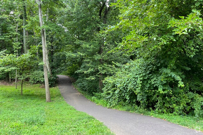 Horsepen Run Stream Valley Park trail is an scenic escape into nature in Herndon.