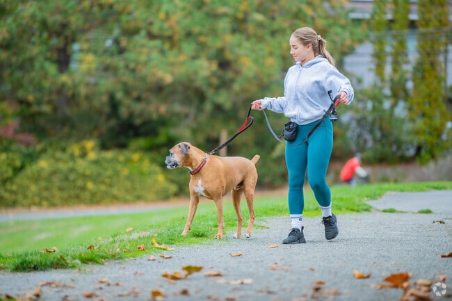 Shorewood residents can walk their dogs around Homestead Park and enjoy the natural scenery.
