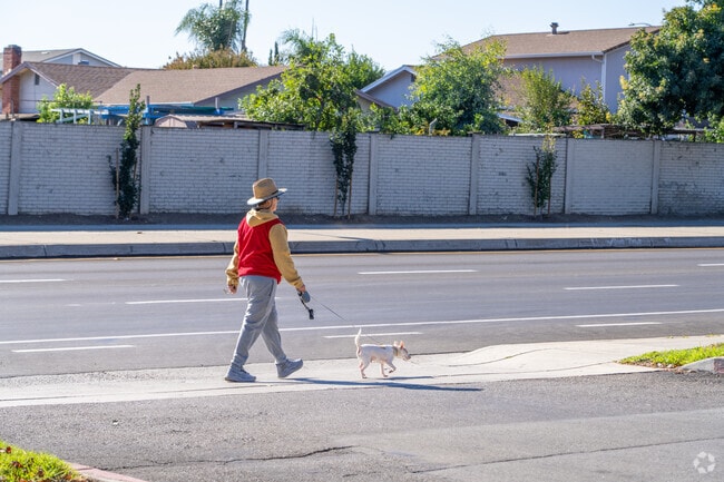 Yerba Buena offers scenic walks perfect for dogs and their owners.