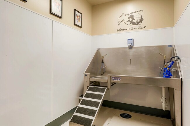 Stella On The Park, Aurora, CO 80012 - photo 6