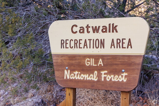 The Gila National Forest has many recreational areas like the popular catwalk.