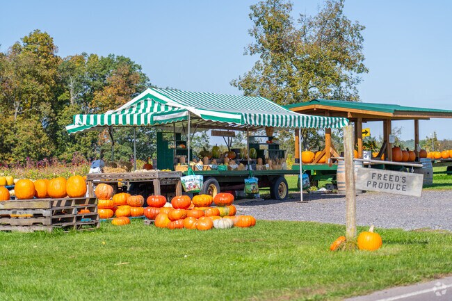 Residents love shopping produce along the road at the many farmstands in Lower Salford.