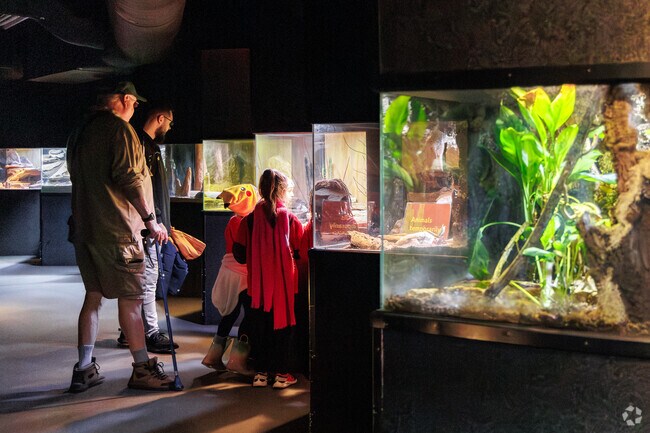 Children love coming to the Indianapolis Zoo near Hawthorne to see the reptiles.