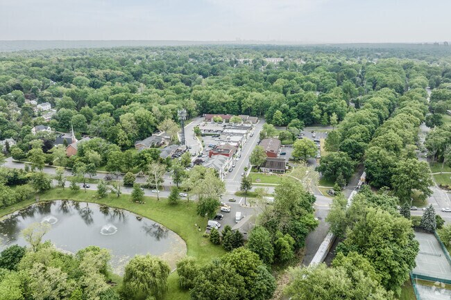 Aerial view of Haworth, NJ showing its downtown and bucolic setting.