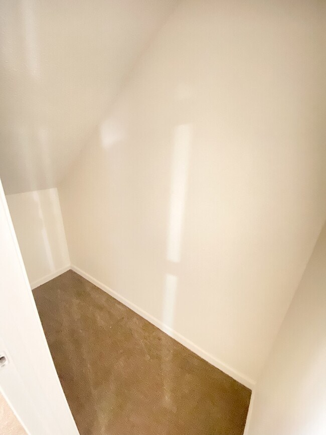 Under the Stairs Storage Closet