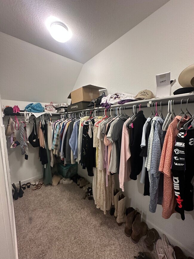 248 Tequilana Pass, Leander, TX 78641 - photo 5