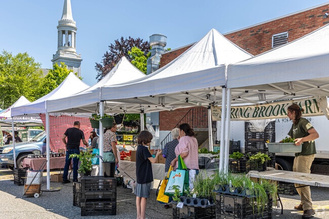 Get all your vegetable essentials at the Waltham Farmers Market.