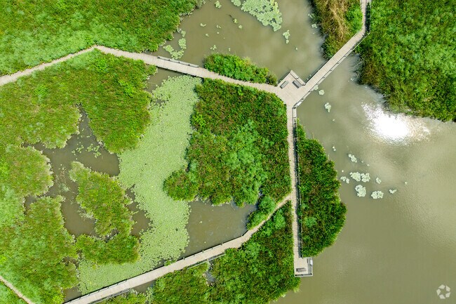 Philipstown residents get outside for fresh air at the Constitution Marsh Sanctuary.