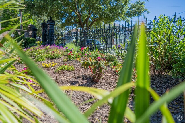 Lush displays of plants can be found at Darragh Park, in the East End Historic District.