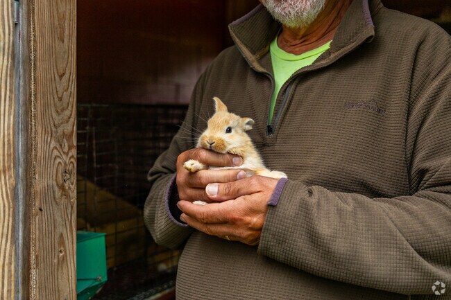 Visit Douglas Farms and Orchard to pet baby bunnies and pick your own fruit.