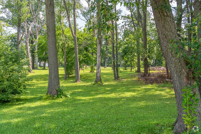 Memorial Park is a great place to get out and enjoy nature.