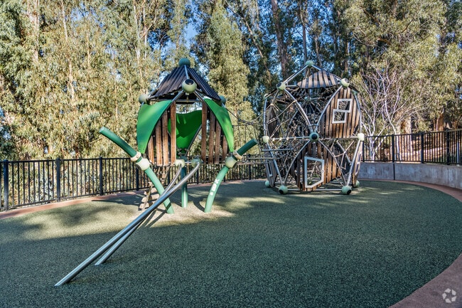 Your children can play on the structures at Davey Glen Park.