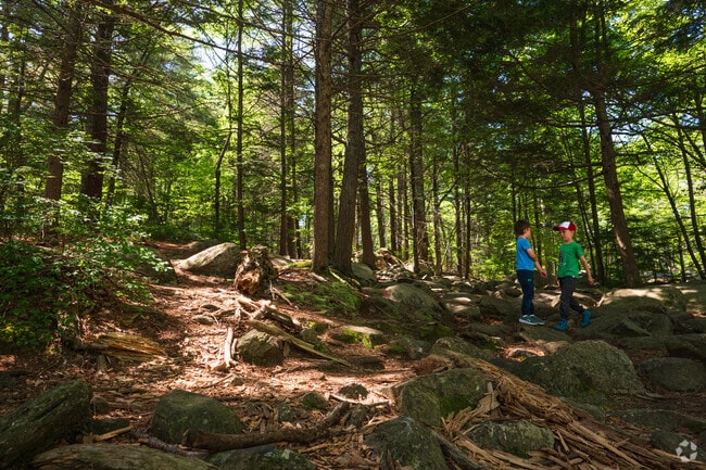 Purgatory Chasm is a stunning natural landmark near Sutton, inviting visitors to explore its dramatic rock formations and scenic trails.