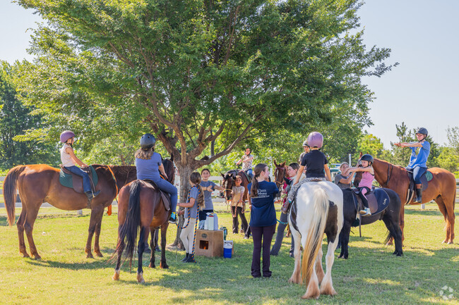 Kids can learn horseback riding at Cross Creek Stables near Kimberly Crossing.