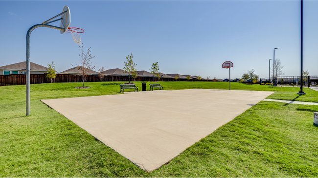Basketball Courts