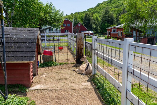 Granville is home to small farms where residents raise animals like goats, chickens, and sheep.