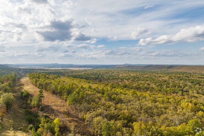 Much of Morgan is made up of swaths of natural hardwood forests.
