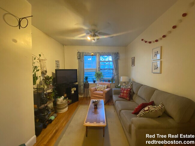 55 Lanark Rd, Brighton, MA 02135 - photo 5