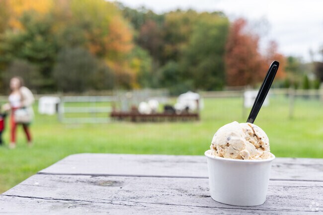 You can find plenty of delicious ice cream flavors made fresh in house using milk from our cows.