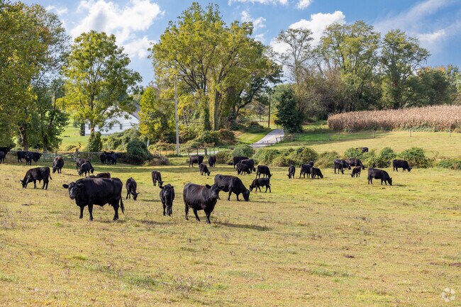 Locals often use private land for farming and hunting.