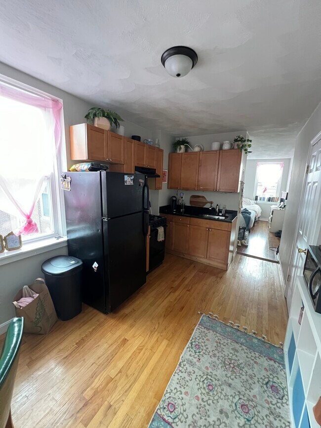 48 Saint Germain St unit 10, Boston, MA 02115 - photo 5