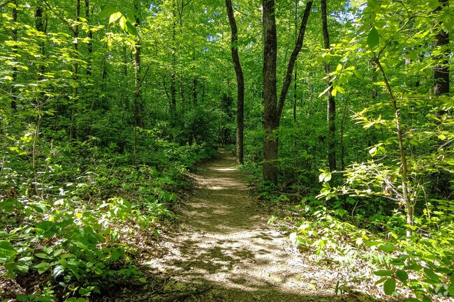 Cumberland Estates Recreation has picnic tables and unpaved paths like this one.
