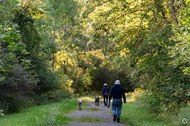 There are lots of hiking trails on Grand Island like this one in Buckhorn Island State Park.