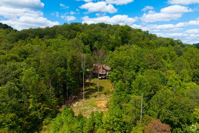 Homes in Chuck Swan are surrounded by forest and lake access.