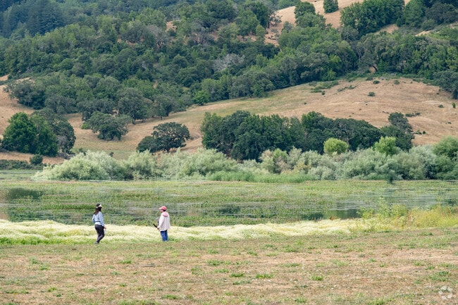 Bird watching is a favorite activity at Stafford Lake County Park.