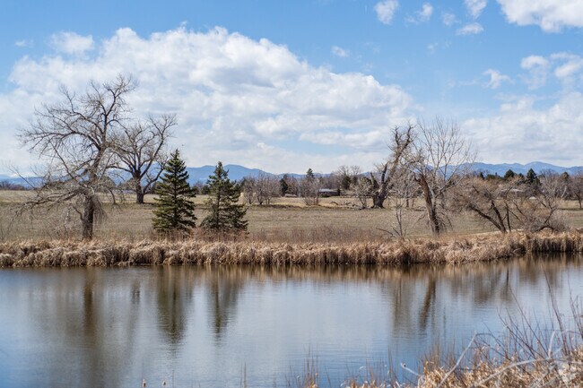 Ellie's Pond at The Field Open Space homes many wildlife creatures in Broomfield Country Club.